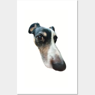 big nose dog funny meme Posters and Art